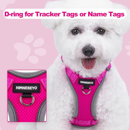 Small Dog Harness and Leash Set, No Pull Adjustable Pet Harness for Small Dogs, Breathable Mesh Rflective Dog Vest Harness (Rose Red, M)