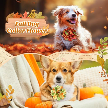 50 Pieces Fall Thanksgiving Dog Collar Flowers Bulk Maple Leaves Dog Charms Grooming Accessories Bow Tie Flower for Pets Cat Collar Attachment Embellishment Autumn Party Costume Photo Props