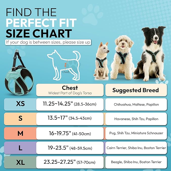 Gooby Escape Free Easy Fit X Step in Dog Harness - Seattle Blue, Medium