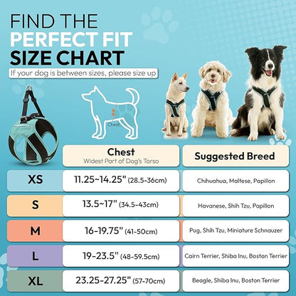 Gooby Escape Free Easy Fit X Step in Dog Harness - Seattle Blue, Medium