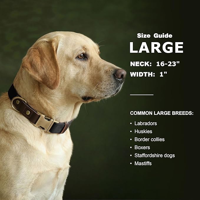 Didog Soft PU Leather Dog Collar for Large Dogs,Classic Adjustable Dog Collars with Quick Release Metal Buckle,Easy Clean and Comfortable with Nylon Lining,Black,L Neck 16-23"