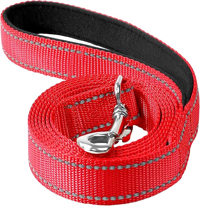 4FT Reflective Nylon Dog Leash with Soft Padded Handle for Walking, Running and Training, Supports Small Medium and Large Dogs (Red, 3/4 Inch Wide)