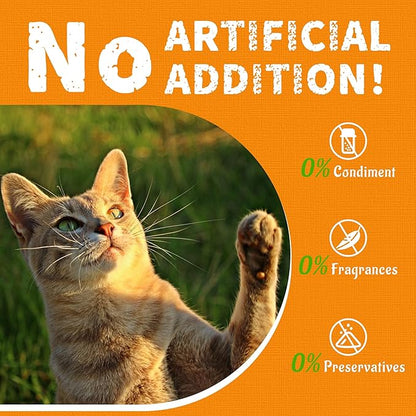 Just Try 13.4 OZ Pumpkin Cat Treats Cat Constipation Relief Hairball Control Healthy Salmon Snacks Training Biscuits Treats for Digestive Support Low Calorie Kitten Snacks