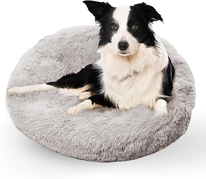 Active Pets Medium Dog Bed, Calming Orthopedic Pet Bedding for Anxiety Relief, Joint Support & Comfort, Washable Dog Furniture, Med 45lbs, Light Grey