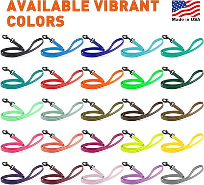 Dogline Biothane Waterproof Dog Leash Strong Coated Nylon Webbing with Black Hardware Odor-Proof Easy to Clean High Performance for Small or Large Dogs Made in USA 4 or 6 ft Lead, Black