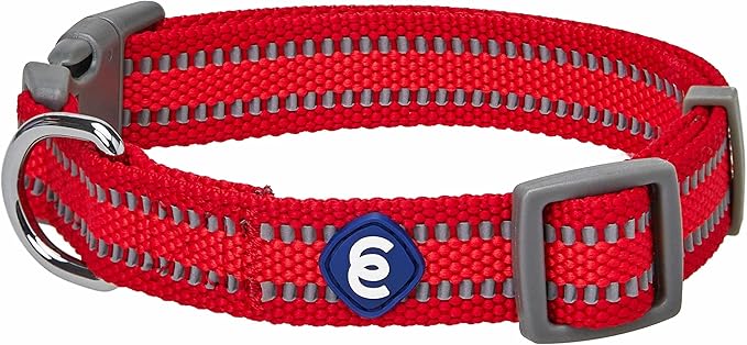 Blueberry Pet Essentials Matching Small Dog Collar | Adjustable Classic Solid Color Nylon Dog Collars for Small Dogs | Reflective Rouge Red Dog Collar for Small Dogs