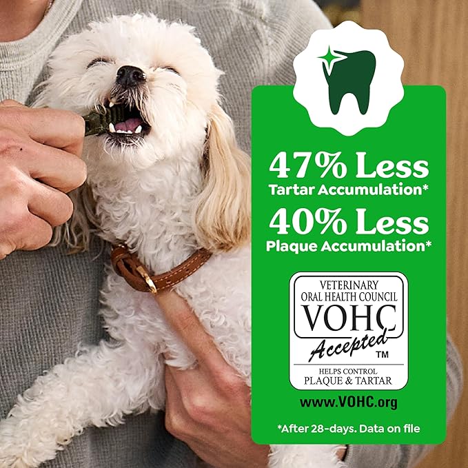 Greenies Veterinarian-Recommended Natural Dental Dog Treats Teenie Size, Original Flavor, 12 oz. Pack, 43 Count