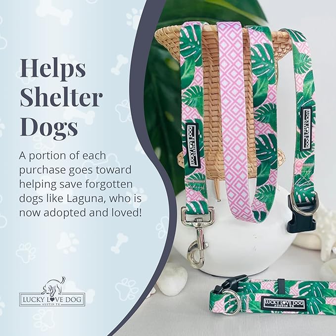 Lucky Love Dog Leash – Soft, Durable, and Comfortable Leash with Vibrant Patterns – Stylish and Long Lasting for Small Male and Female Dogs – Laguna, Small