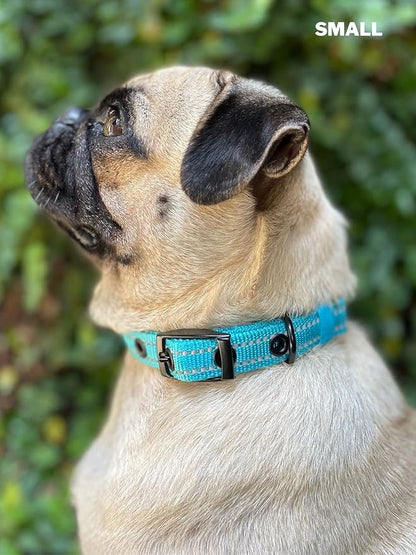 Tuff Pupper Heavy Duty Dog Collar with Handle | Ballistic Nylon Heavy Duty Collar | Padded Reflective Dog Collar with Adjustable Stainless Steel Hardware | Convenient Sizing for All Breeds