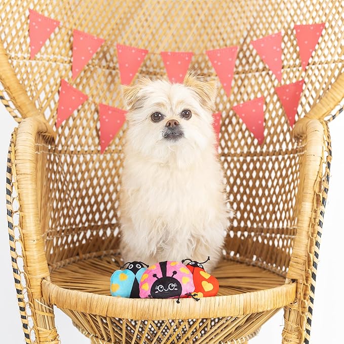 Fringe Studio Plush Dog Toy, Buggy for You, Small 3 Piece Set, Pet Shop Collection (662028)