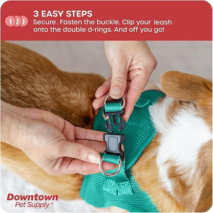 Downtown Pet Supply Step in Dog Harness for Teacup Dogs & Cats No Pull, XX-Small, Bermuda Blue - Adjustable Harness with Padded Mesh Fabric and Reflective Trim - Buckle Strap Harness for Dogs