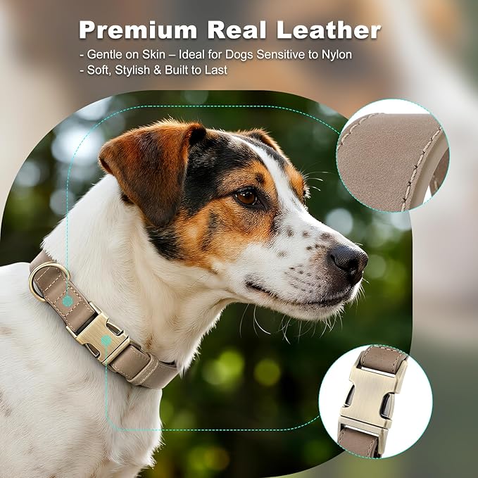 Plutus Pet Genuine Leather Dog Collar – Adjustable Pet Collar with Quick Release Metal Buckle, Soft Real Leather for Small Medium Large Dogs, Heavy Duty & Skin-Friendly (Ash Brown, M)