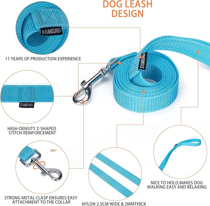 Siumouhoi Strong Durable Nylon Dog Training Leash, 1 Inch Wide Traction Rope, 6 ft Long, for Small and Medium Dog (Mint Blue, 6 Feet)