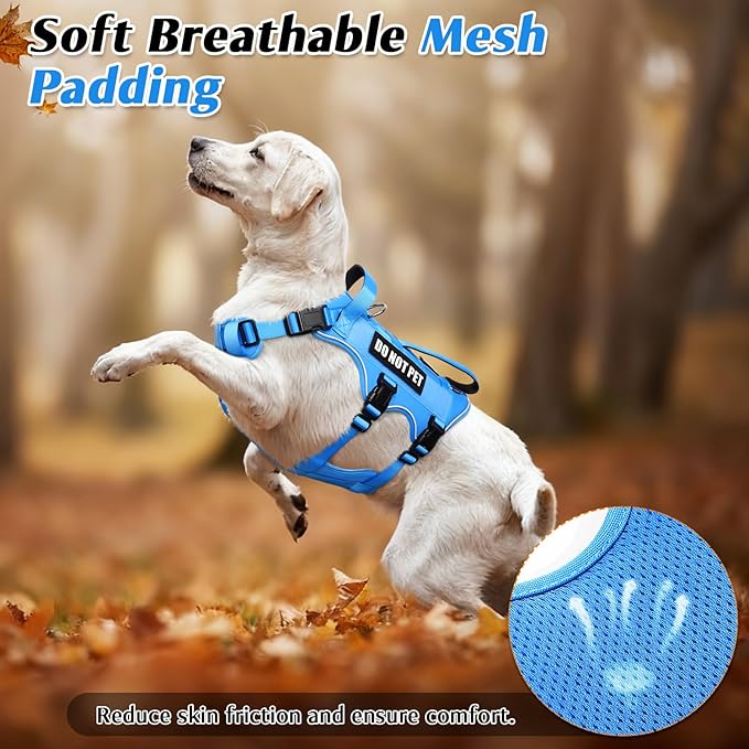 WINSEE Escape Proof Dog Harness, Service Working Molle Harness with Double Handle, Tactical Pet Vest with 4 Patches for Small Medium Large Dogs Walking Hiking Hunting