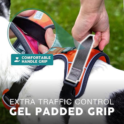 Embark Adventure Dog Harness, Reflective Trim XL Dog Harness for Extra Large Dogs No Pull - Military Grade Nylon, 2 Leash Clips & Gel Lined Handle.