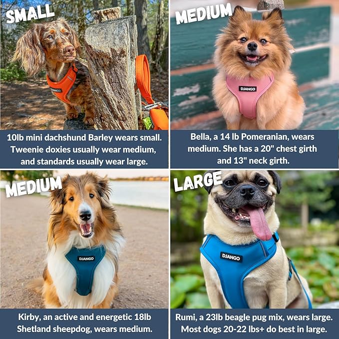 DJANGO Adventure Dog Harness - Stylish, & Durable Small Dog Harness for Outdoor Adventures and Everyday Wear - Sunset Orange Neoprene Adjustable Harness for Dogs with Reflective Piping & Brass D-Ring