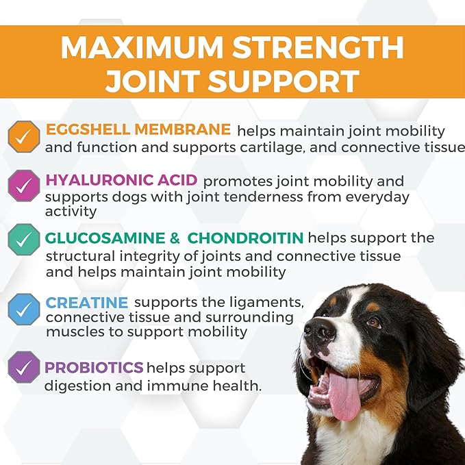 Progility Maximum Strength Hip & Joint Supplement for Large Dogs – Daily Mobility & Joint Support with Eggshell Membrane, Glucosamine, Chondroitin, & MSM, Soft Chews (60 Count)