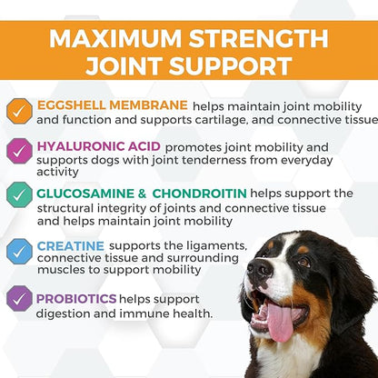 Progility Maximum Strength Hip & Joint Supplement for Large Dogs – Daily Mobility & Joint Support with Eggshell Membrane, Glucosamine, Chondroitin, & MSM, Soft Chews (60 Count)