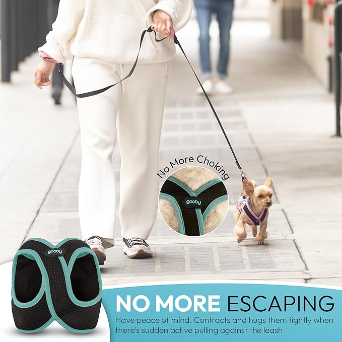 Gooby Escape Free Easy Fit X Step in Dog Harness - Seattle Blue, Medium