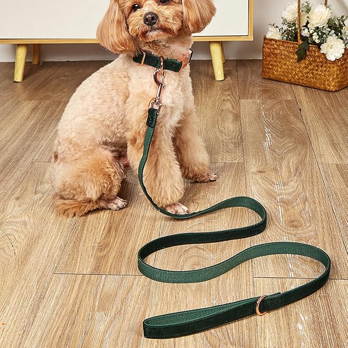 JAY D.L Dog Collar and Leash Set，Soft & Comfy Velvet Dog Collars with Heavy Duty Metal Buckle and Matching Lead Adjustable for Small Medium Large Dogs (XLarge, Rose)