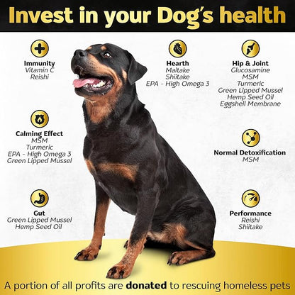 Life4Legs - Soft Chews Hip and Joint Supplement for Dogs - Dog Joint Pain Relief Treats - Glucosamine, Chondroitin, Turmeric- Mobility Supplement