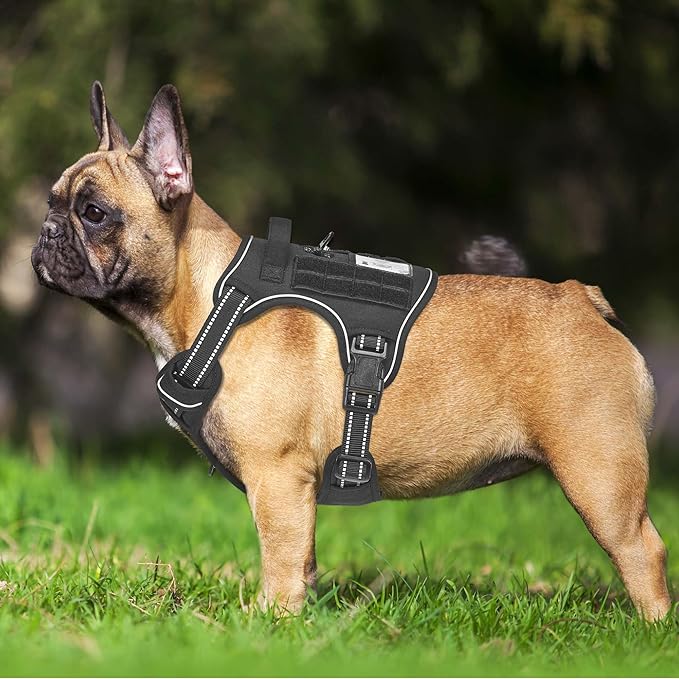 Beebiepet Heavy Duty Tactical Dog Harness for Small Dogs, No Pull Adjustable Pet Harness Reflective Service Training Easy Control Pet Vest Military K9 Working Dog Harnesses- Small, Black