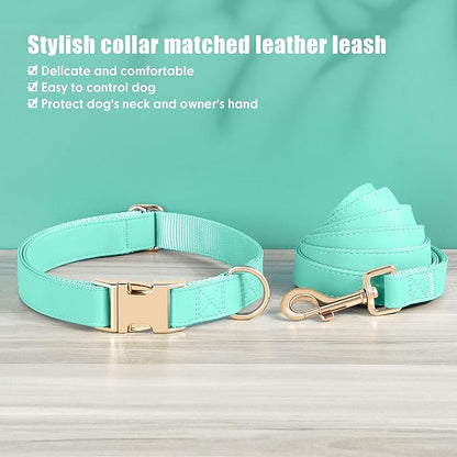 PET ARTIST Soft PU Leather Dog Collar and Leash Set, Bright & Stylish 5FT PU Leather Leash and Collar Set, Durable Pet Collars with Quick Release Metal Buckle for Small Dogs,Mint Green,S(9"-14")