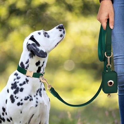 PET ARTIST Soft PU Leather Dog Collar, Bright Color & Durable Dog Collar Leather with Rose Gold Quick Release Metal Buckle, Adjustable Nylon Padded Pet Collars for Medium Dogs, Neck Fit 13-19"