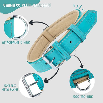Riparo Adjustable Leather Dog Collar - Heavy Duty Wide Dog Collar for Small, Medium, Large and Extra Large Dogs with Dog Tag Holder (L: 1.5" Wide for 17"-21" Neck, Aqua)