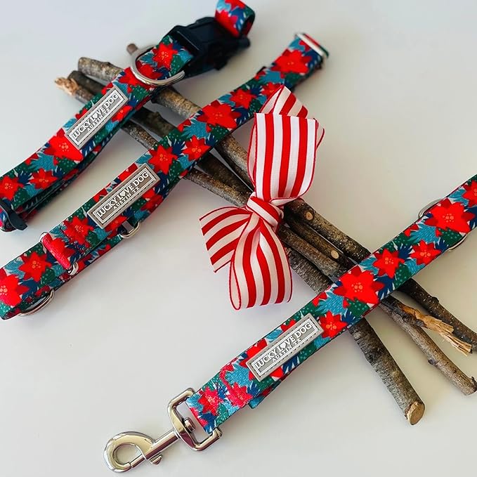 Lucky Love Dog - Easy Click Noel Dog Collar with Leash Set Combo, Durable & Comfortable for Male & Female Dogs, Pet Collar for Large Dogs, Secure Fit - Noel Combo, Large