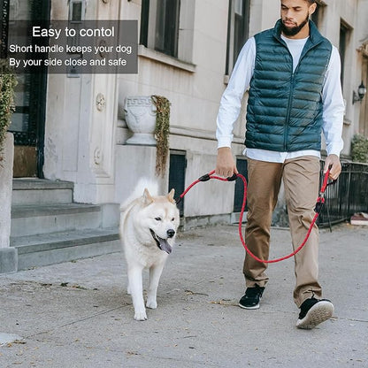 Dog Leash, 6 Foot Dog Leash, 2 Extra Padded Handles, Lockable Metal Carabiner Clip, Reflective No Pull Heavy Duty Rope Lead, Walking, Training, Running, Medium to Large Breeds（Red）