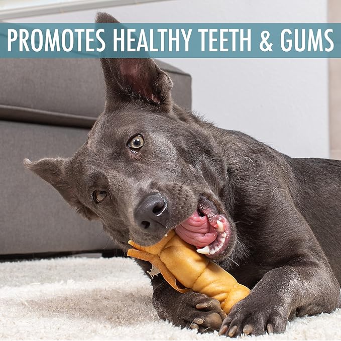 Wild Eats 9" Cheek Roll Long Lasting Dog Chews 3 Pack Water Buffalo Treats, Bones for for Large Dogs Substitute for Pig Ears for Dogs