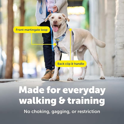 PetSafe Easy Walk Comfort No-Pull Dog Harness - Better Walk Training Harness - Full Body Padded Design - Durable Fabric - 5 Point Adjustable Fit - Everyday Leash Training - Blue - X-Small
