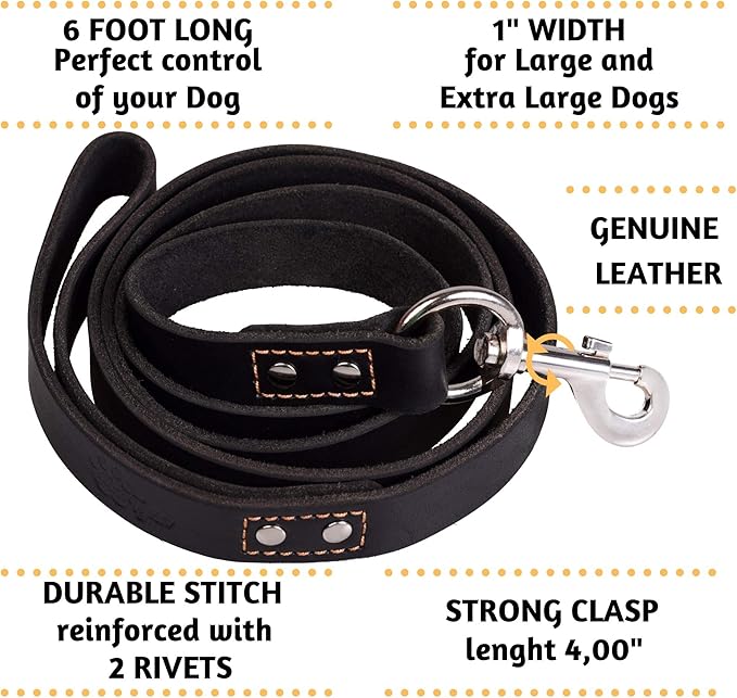 ADITYNA Heavy Duty Leather Dog Leash 6 ft x 1" - Strong, Soft Training Lead for Large & Extra Large Breeds (XL - 6 ft x 1 inch, Black)
