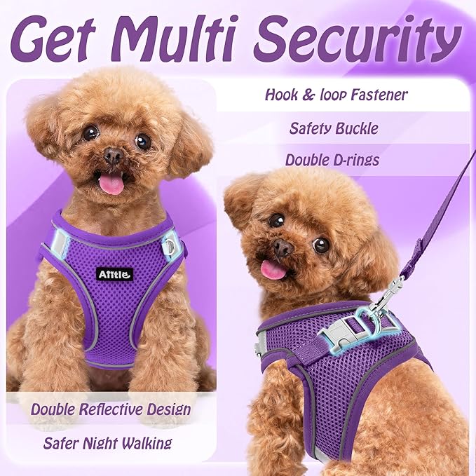 AIITLE Escape Proof Dog Harness - Step in Adjustable Dog Harness No Choke Over with Breathable Mesh and Quick-Release Buckle for All Weather- Outdoor Walking, Training for Medium Dogs Pure Purple XL