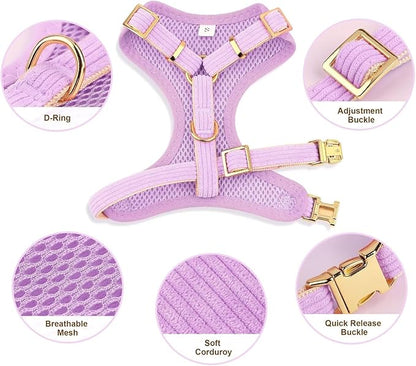 Didog Cute Small Dog Harness Collar and Leash Set with Bowtie, Breathable Soft Mesh Padded Puppy Harness, Dog Harness for Small Dogs Daily Walks Parties, Holiday Gatherings & Gifts, Purple, S