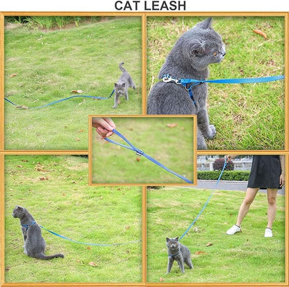 AMAGOOD 6 FT Puppy/ Dog Leash, Strong and Durable Traditional Style Leash with Easy to Use Collar Hook, Great for Small, Medium and Large Dogs (5/8 in x 6 ft, Black and Blue (2-Pack))
