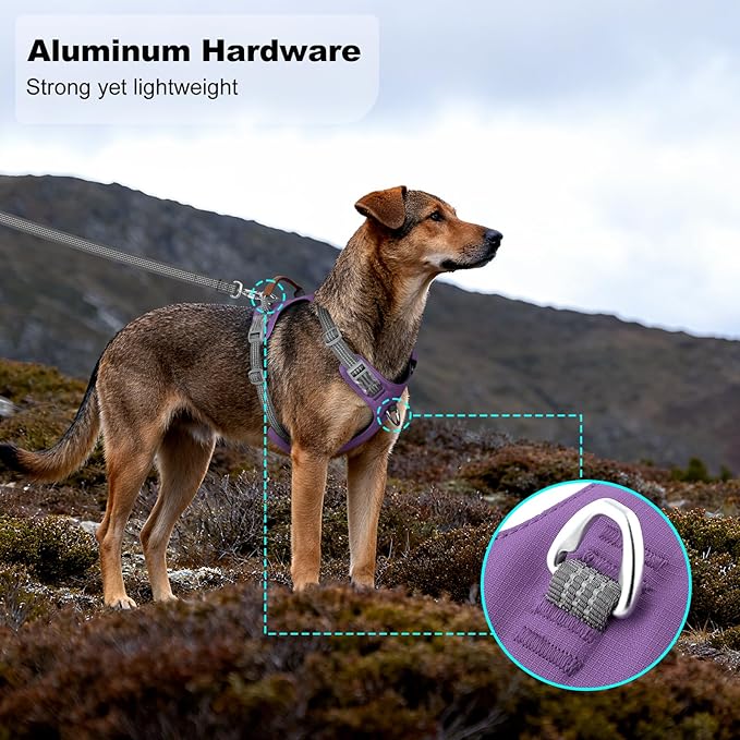 ApakBak No Pull Dog Harness – Adjustable Reflective Nylon Vest for Small Medium Large Dogs, Escape Proof Training Harness with Leather Control Handle, Lightweight Aluminum Hardware (Purple, L)