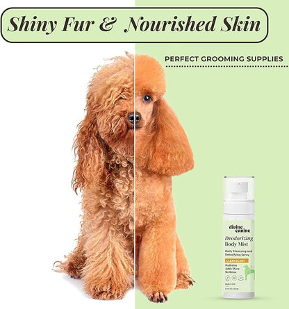 Divine Canine Cleansing Hair and Body Spray for Dogs - 5.1 Fl Oz of Dog Deodorizer, Long Lasting Formula - Everyday Body Spray with Aloe, Lemongrass Oil, and More - Made in The USA