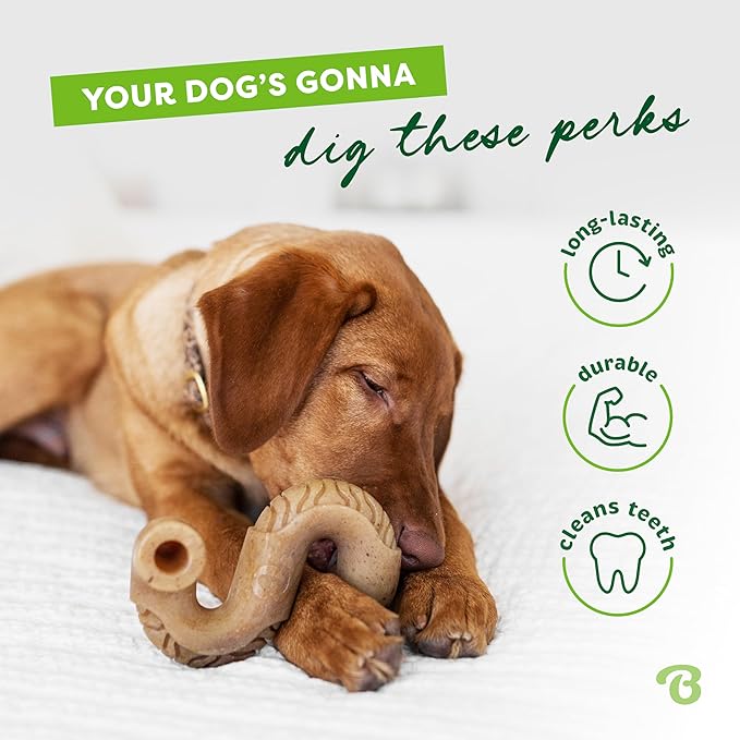 Benebone Tripe Bone Durable Dog Chew Toy for Aggressive Chewers, Real Tripe, Made in USA, Giant