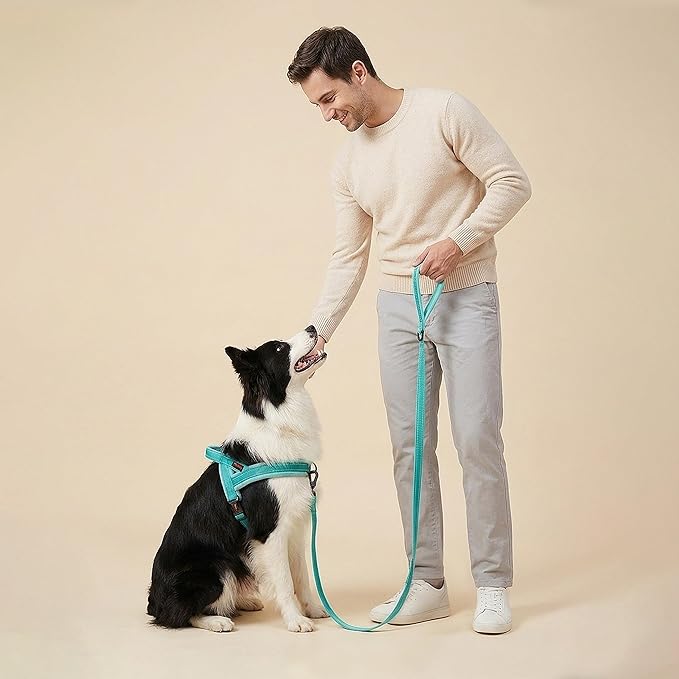 Didog Soft Flannel Padded Dog Vest Harness, No Pull/Quick Fit Reflective Dog Strap Harness, Easy for Training Walking (M:Chest 21-26", Green)