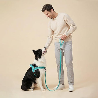 Didog Soft Flannel Padded Dog Vest Harness, No Pull/Quick Fit Reflective Dog Strap Harness, Easy for Training Walking (L:Chest 26-32", Green)