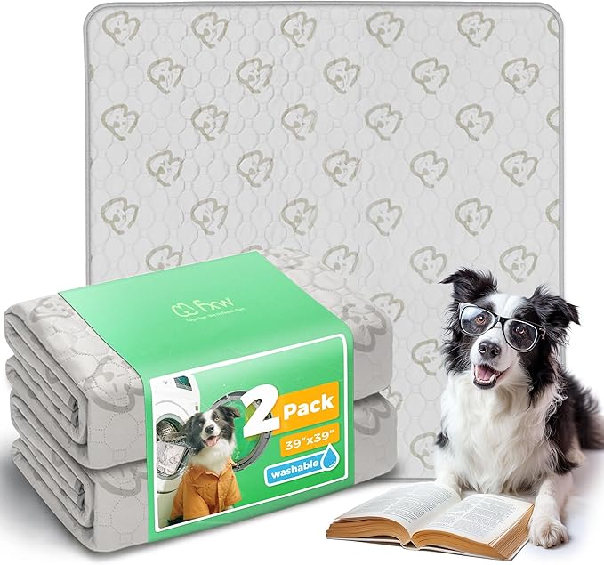 FXW Washable Pee Pads for Dogs, Leak-Proof & Non-Slip, Specifically Designed for Potty Training, Square, 39" x 39", 2 Packs