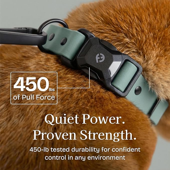 2026 New Edition, Fei & Eve PVC MagEase Dog Collar - Patented Magnetic Buckles | Fur-Safe | 450LB Escape-Proof | Adjustable Fit | Small (Glacier Green)