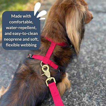 DJANGO Adventure Dog Harness - Stylish and Durable Large Dog Harness for Outdoor Adventures and Everyday Wear - Red Neoprene Adjustable Harness for Dogs with Reflective Piping, Solid Brass D-Ring