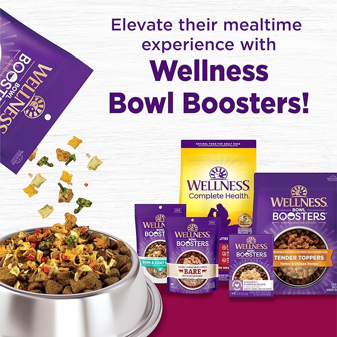 Wellness Complete Health Dry Dog Food, Small Breed, Wholesome Grains, Natural, Healthy Weight Turkey & Brown Rice Recipe, (12-Pound Bag)