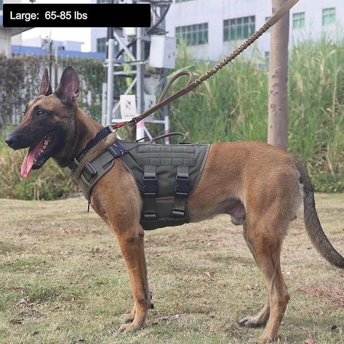 ICEFANG GN3 Tactical Dog Harness with 6X Buckle,Dog Molle Vest with Handle,3/4 Body Coverage,Hook and Loop Panel for ID Patch,No Pulling Front Clip (L (28"-35" Girth), Ranger Green)