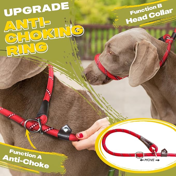 Fida Durable Slip Lead Dog Leash, 6 FT x 3/8" Heavy Duty Comfortable Strong Rope Slip Lead for Small Dogs and Puppies, No Pull Pet Training Leash with Highly Reflective (3/8", Red)