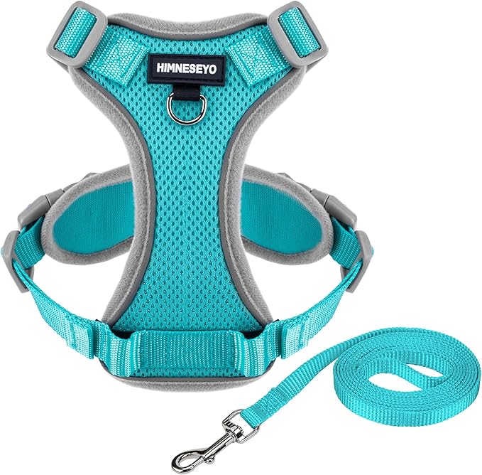 Small Dog Harness and Leash Set，No Pull Adjustable Pet Harness for Small Dogs ，Breathable Mesh Reflective Dog Vest Harness (Turquoise, S)