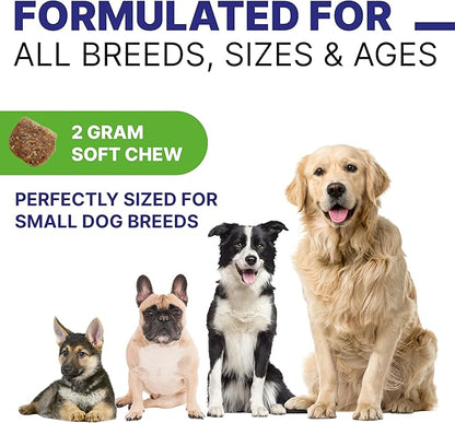 Dog Probiotic Chews for Digestive & Gut Health - Advanced Formula with Yeast, Enzymes & Fiber - Diarrhea Gas Stomach Relief Treats - Chewable Pet Digestion Supplement (120Ct Peanut Butter)